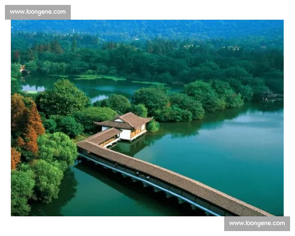 夜骑西湖：杭州青年的浪漫通勤美学